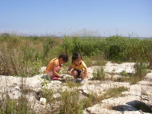 Rock Flats :: Wisconsin 2003